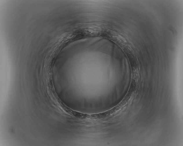 X0000113271009200909241538