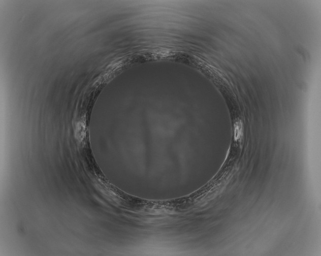 X0000113271011200909241538