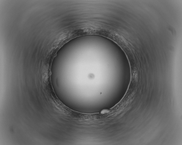 X0000113271012200909241538