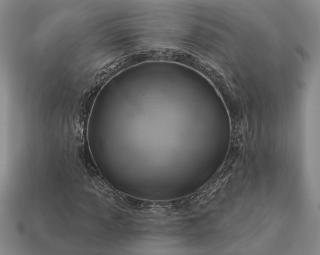 X0000113271013200909241538