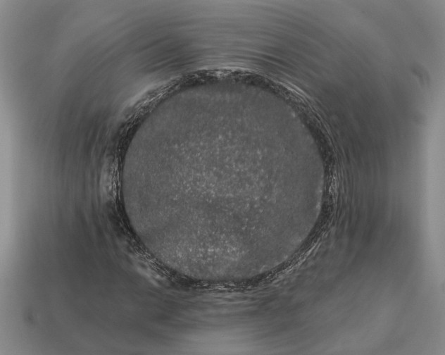 X0000113271014200909241538