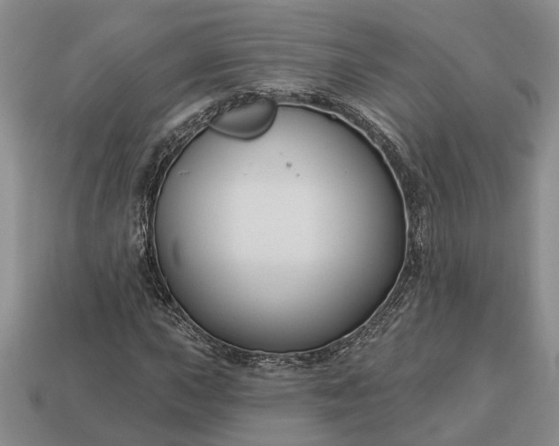 X0000113271015200909241538