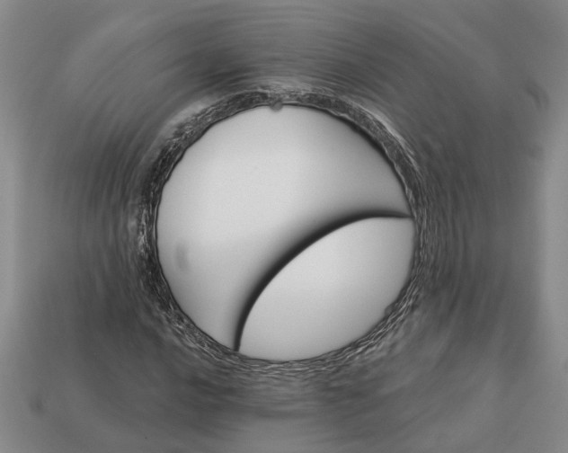 X0000113271016200909241538