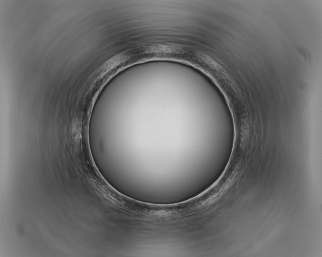 X0000113271017200909241538