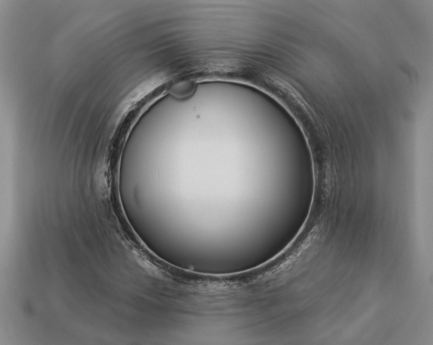 X0000113271018200909241538