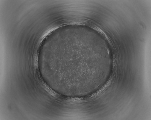 X0000113271019200909241538