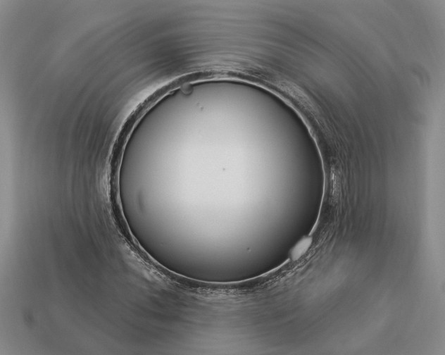 X0000113271020200909241538