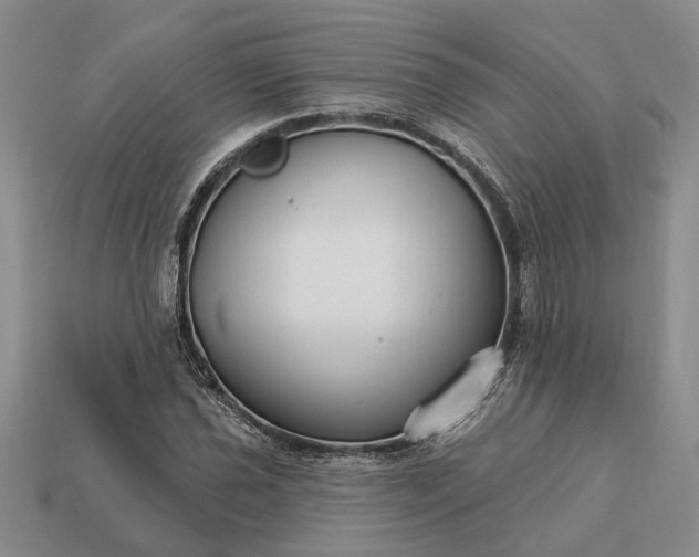 X0000113271021200909241538
