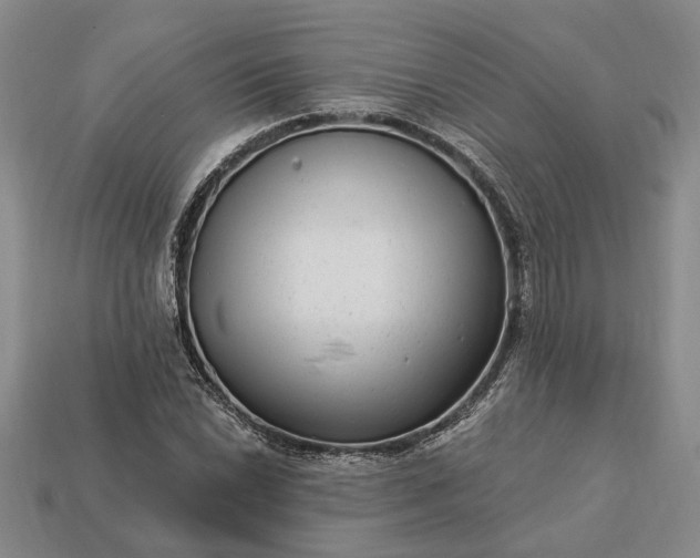 X0000113271022200909241538