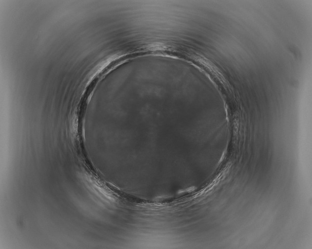 X0000113271023200909241538
