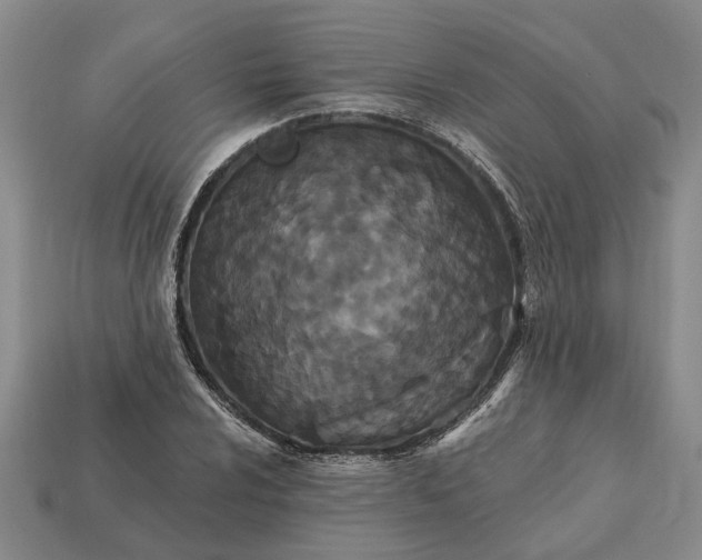 X0000113271024200909241538