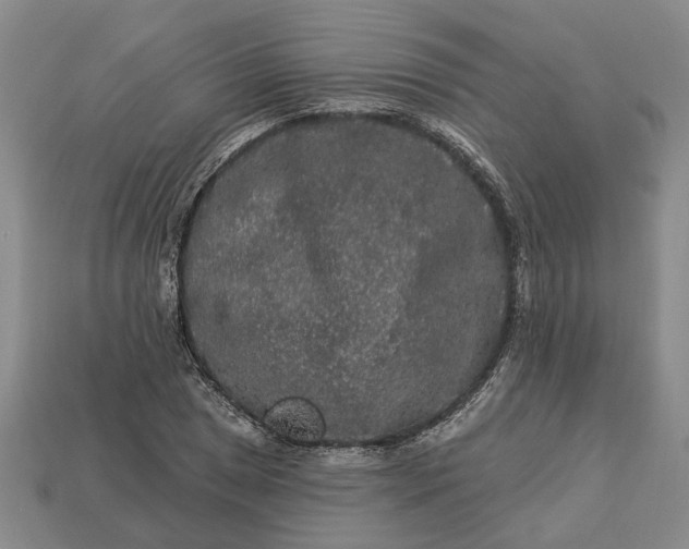 X0000113271025200909241538