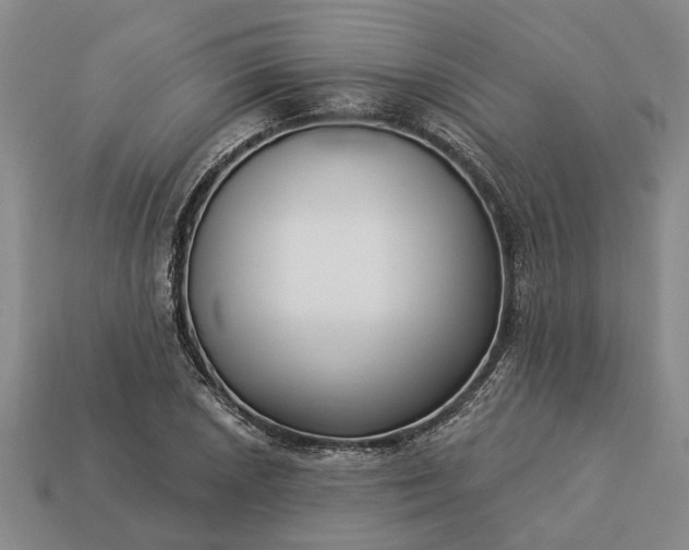 X0000113271026200909241538