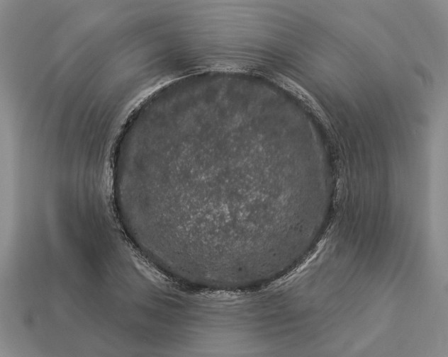 X0000113271027200909241539