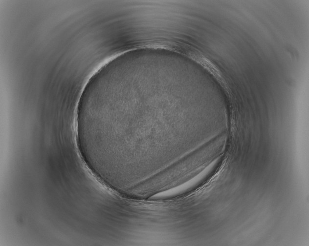 X0000113271028200909241539