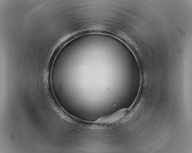 X0000113271029200909241539