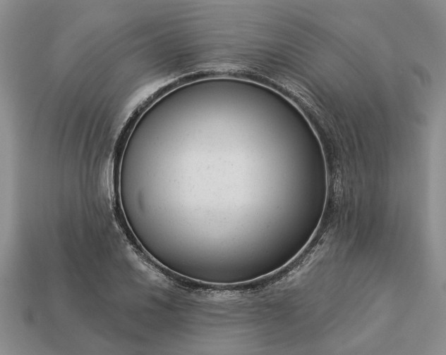 X0000113271030200909241539
