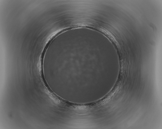 X0000113271031200909241539
