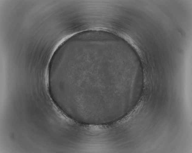 X0000113271032200909241539