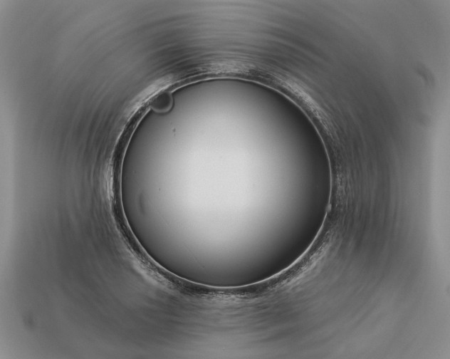 X0000113271034200909241539