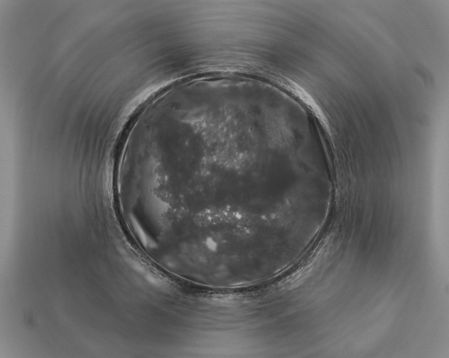 X0000113271035200909241539