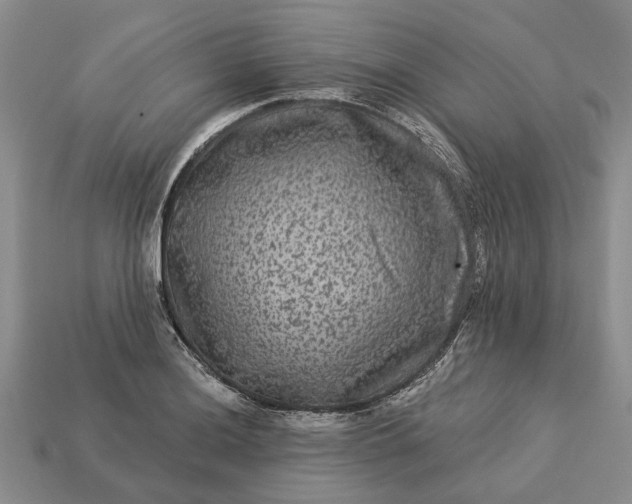 X0000113271036200909241539