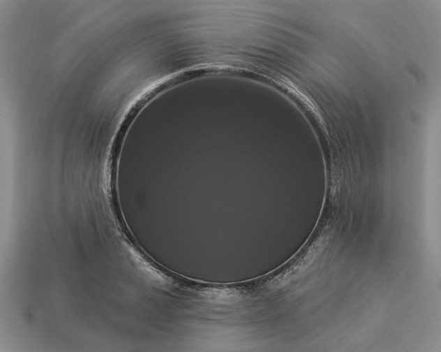 X0000113271037200909241539