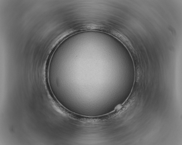 X0000113271039200909241539