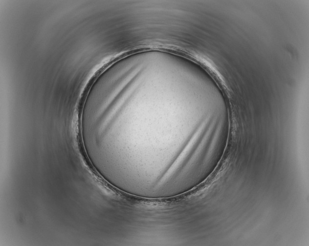 X0000113271040200909241539
