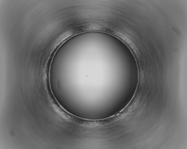 X0000113271042200909241539