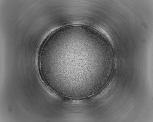 X0000113271043200909241539