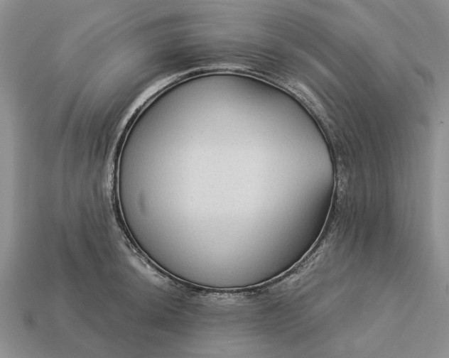 X0000113271044200909241539