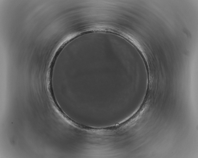 X0000113271045200909241539