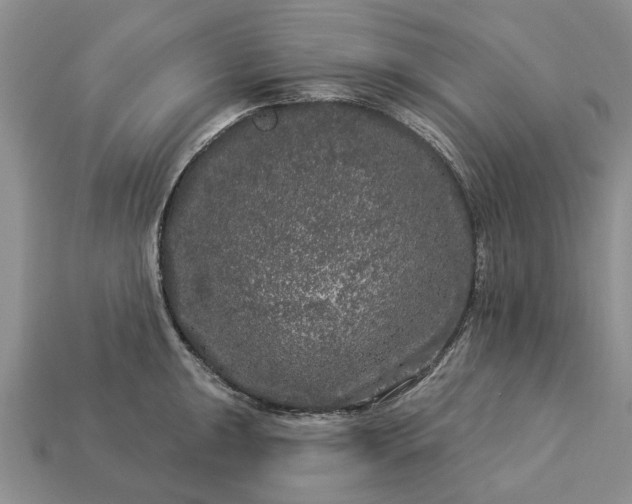 X0000113271047200909241539