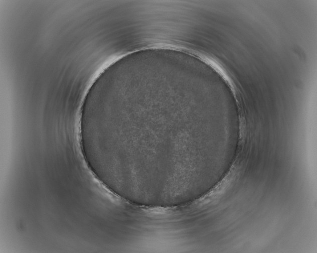 X0000113271048200909241539