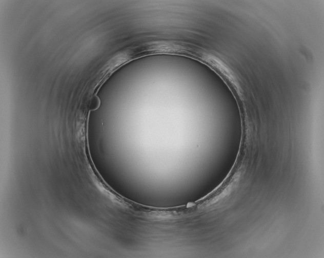 X0000113271049200909241539