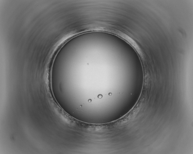 X0000113271051200909241539