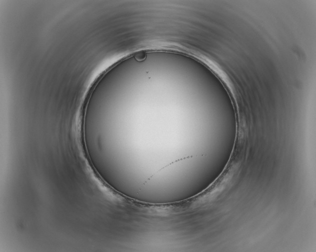 X0000113271053200909241539