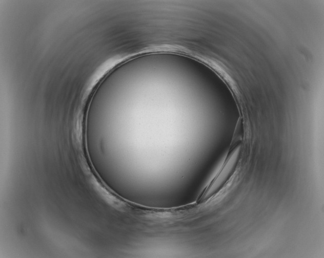 X0000113271054200909241539