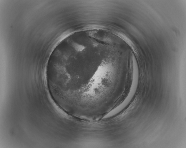 X0000113271055200909241539