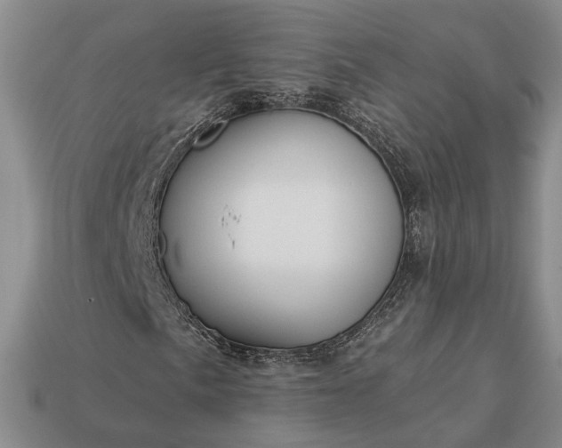 X0000113271057200909241538