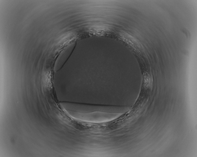 X0000113271060200909241538