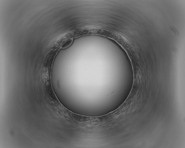 X0000113271062200909241538