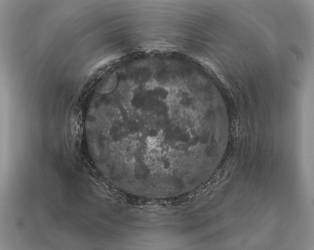 X0000113271063200909241538