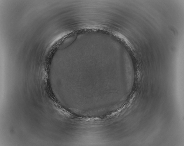 X0000113271064200909241538