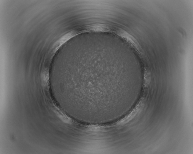 X0000113271065200909241538