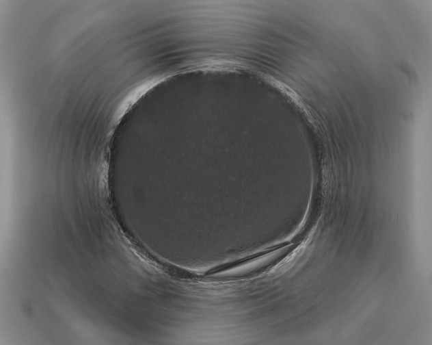 X0000113271066200909241538