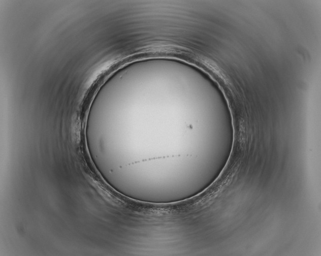 X0000113271067200909241538