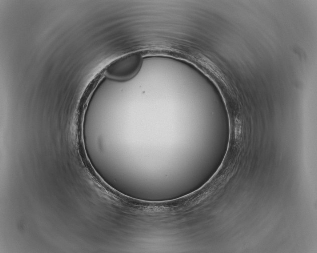 X0000113271068200909241538