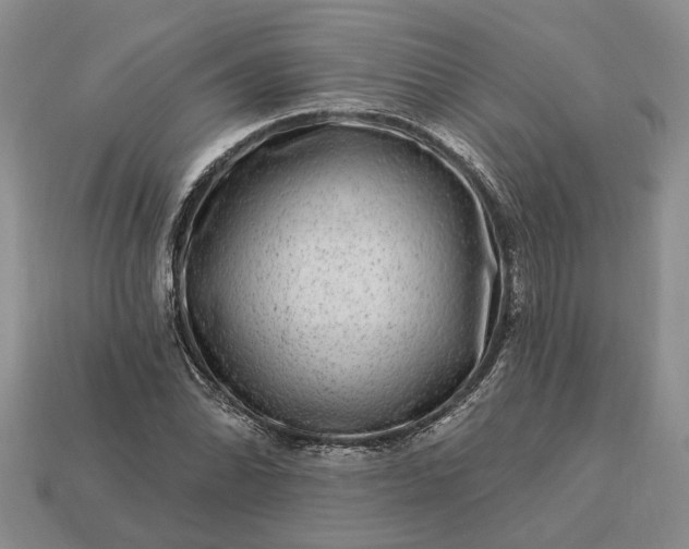 X0000113271070200909241538